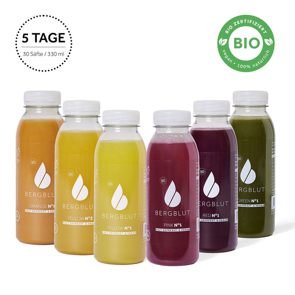 5 Tage Bio Saftkur