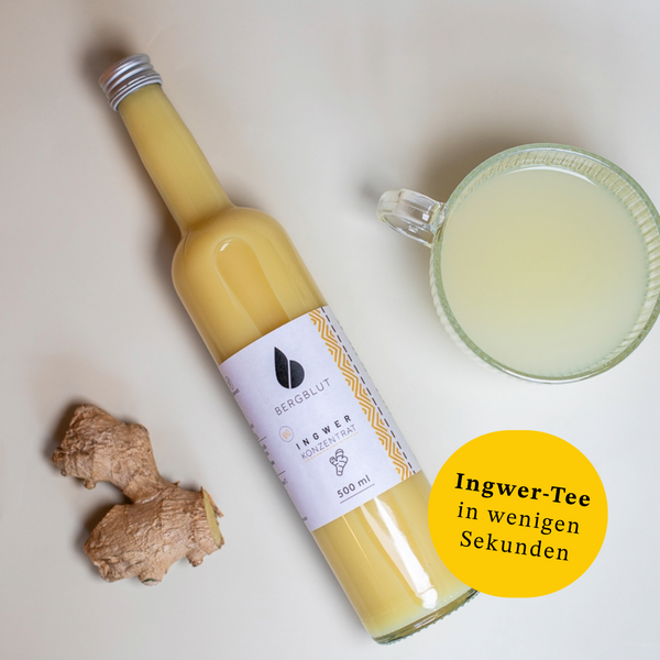 organic ginger concentrate classic