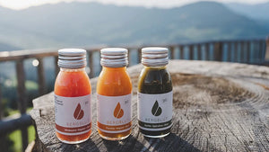 bio ingwer shot gesund bergblut