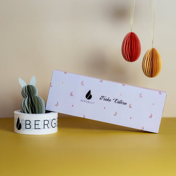 Bio Bergshot Geschenkbox Frohe Ostern - 7er Ingwershot Mix in Glasfläschchen