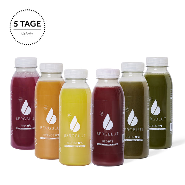 5 Tage Bio Saftkur Green