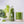 BIO GREEN N°1