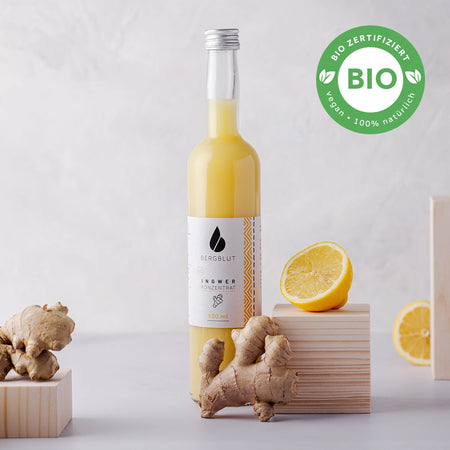 BIO Ingwerkonzentrat Klassik image