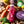 BIO PINK N°1