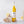 organic ginger concentrate
