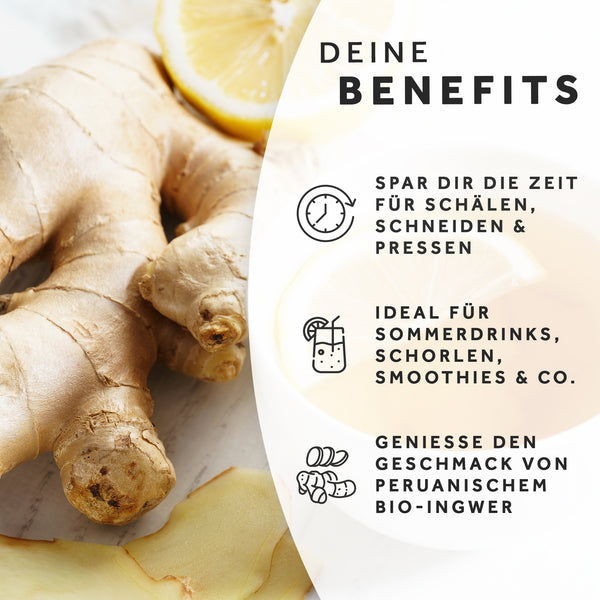 BIO Ingwerkonzentrat Holunderblüte