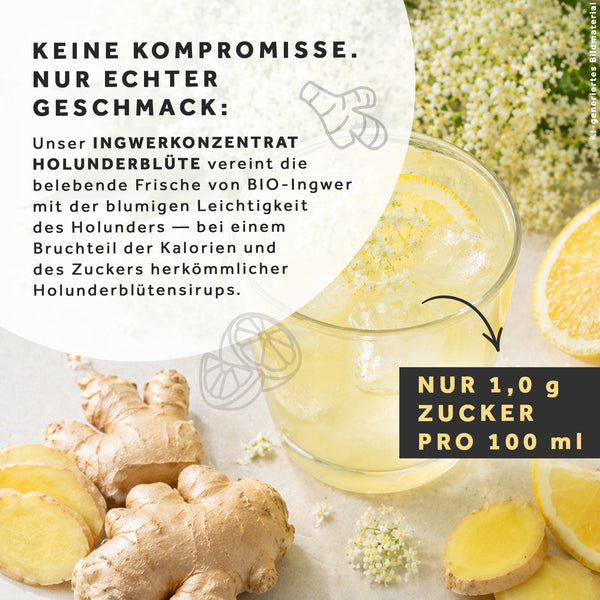 BIO Ingwerkonzentrat Holunderblüte