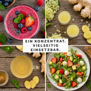 BIO Ingwerkonzentrat Holunderblüte
