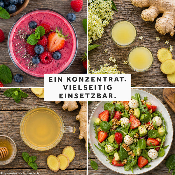 BIO Ingwerkonzentrat Holunderblüte