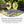 BIO Ingwerkonzentrat Holunderblüte
