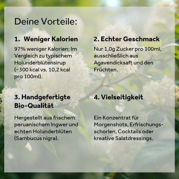 Holunderblüte Ingwer Konzentrat