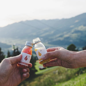 ingwer shot bergblut gesund