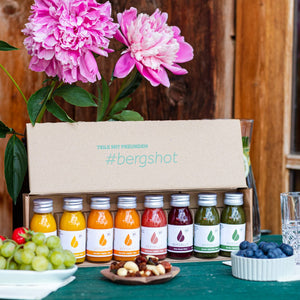 Bergshot Ingwershot Box, vegan, bio, Himbeere shots, gurke spirulina